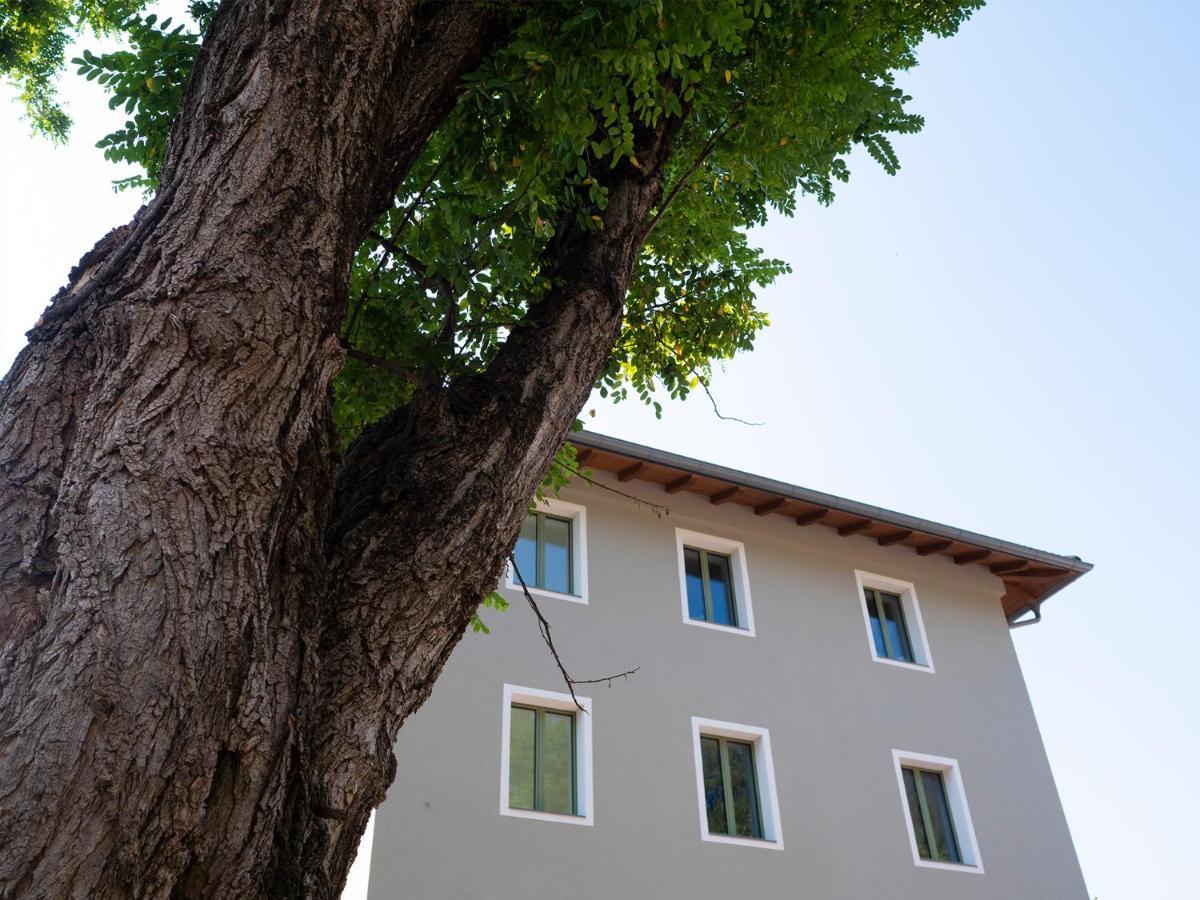 Innesti Rooms&Apartments - Le Camere Pergine Valsugana Exteriör bild